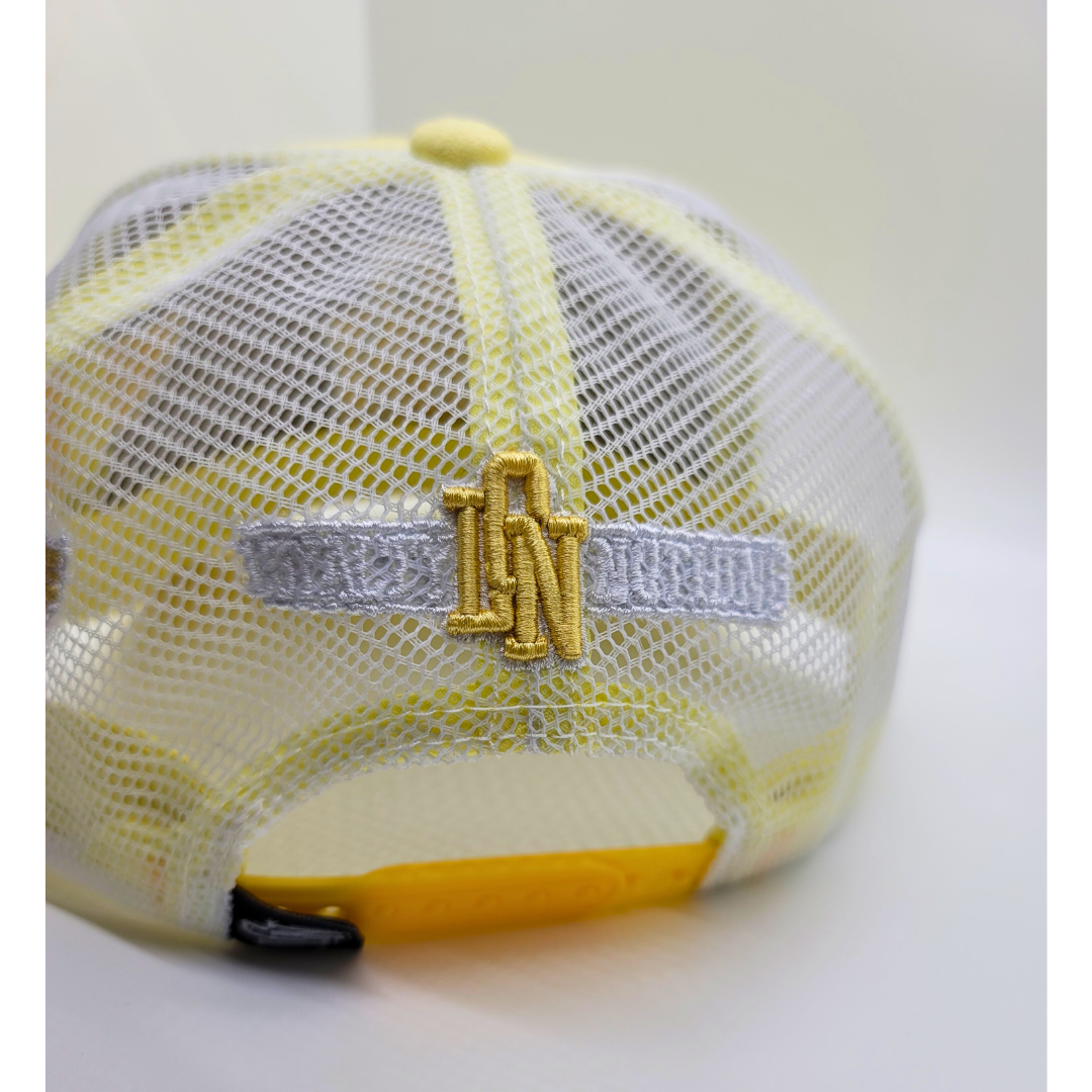 Lemonade 3D Angel Hat